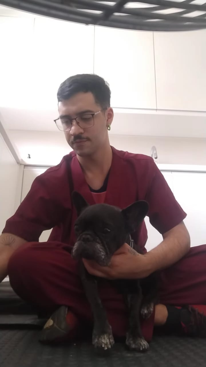 Victor Passaros atendendo um cão em domicílio