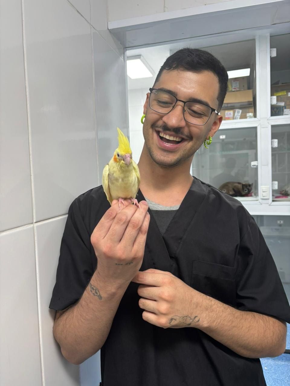 Sexagem de aves e répteis