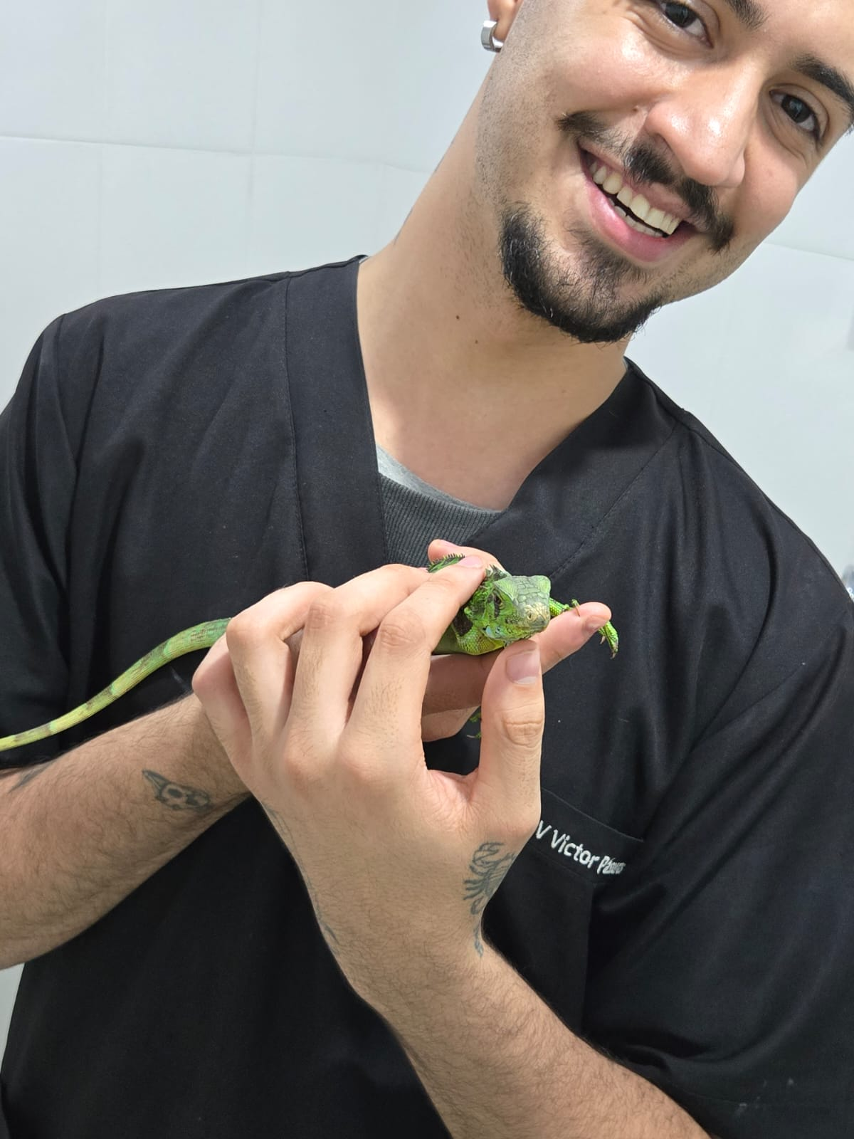 Victor Passaros, médico veterinário, examinando uma iguana