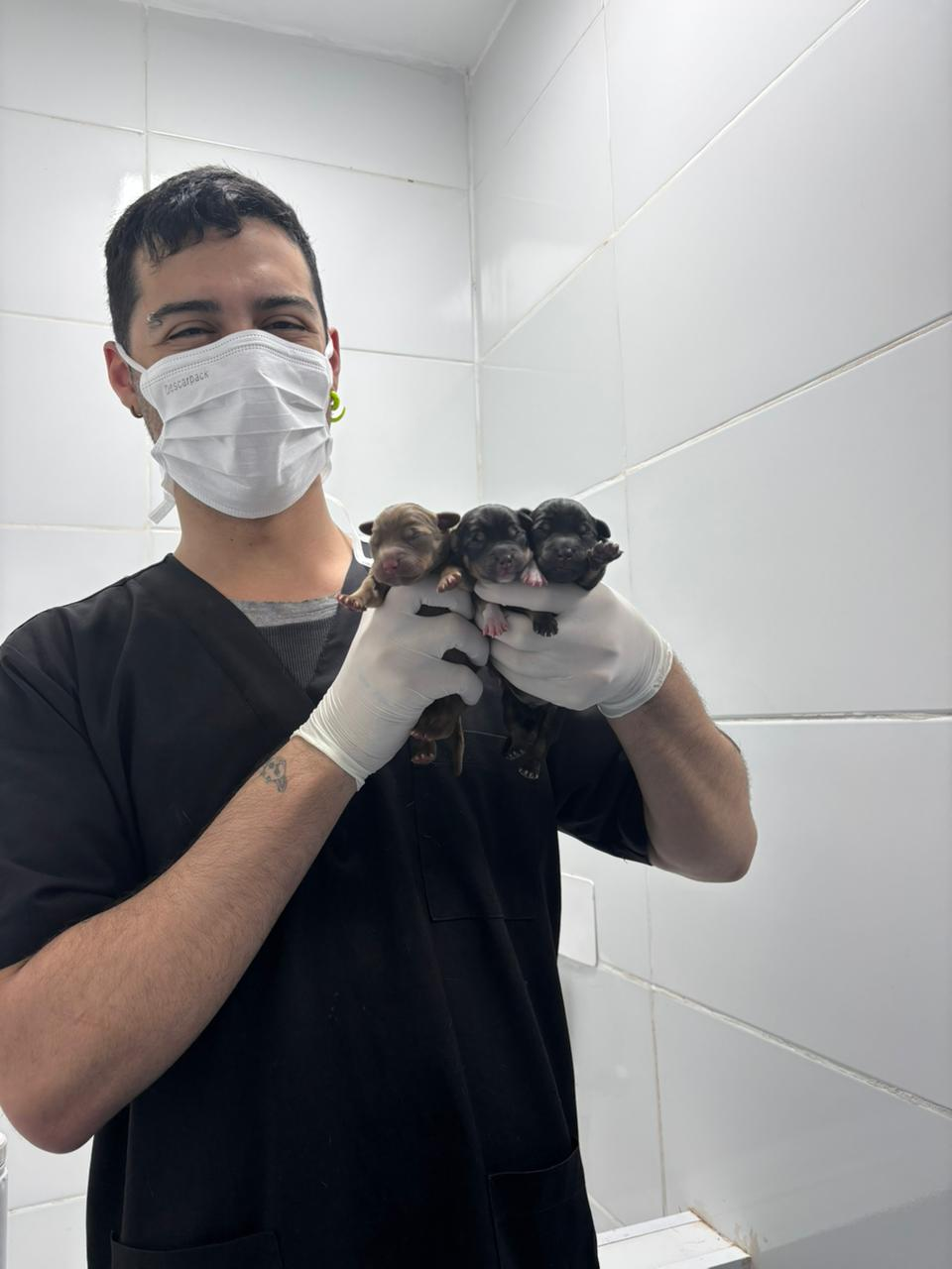 Victor Passaros com filhotes de morcego
